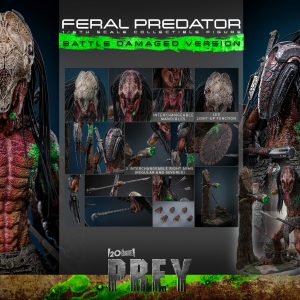 HOT TOYS TMS173 – Prey - 1/6th scale Feral Predator (Battle Damaged Version) Collectible Figure 62421
